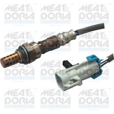Oxygen Sensor